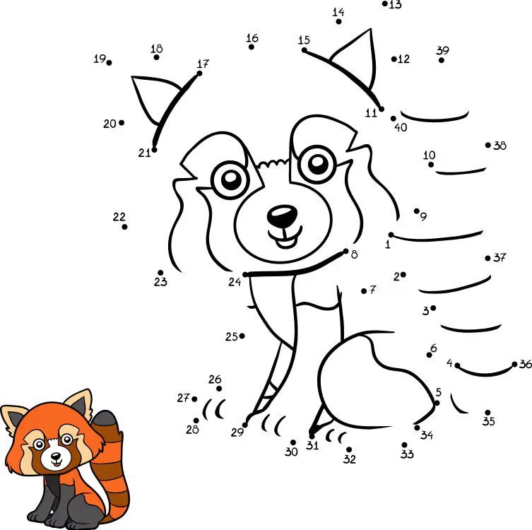 Çizgi Çalışmaları