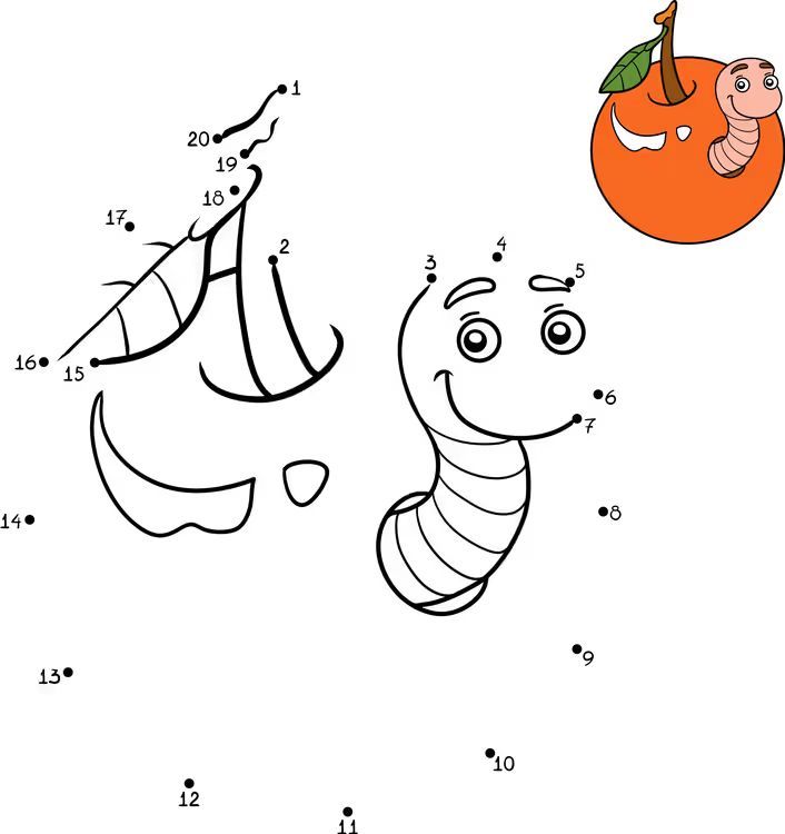 Çizgi Çalışmaları