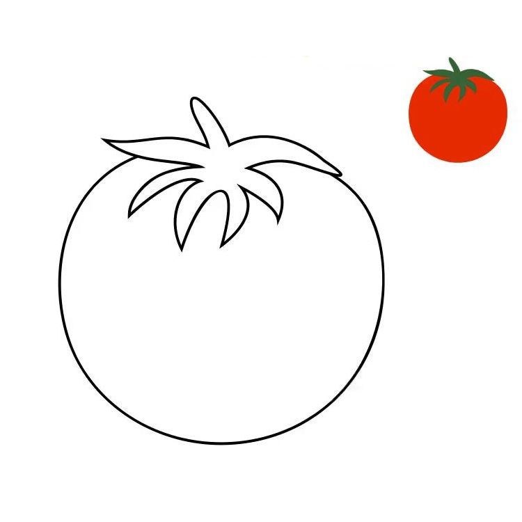 Çizgi Çalışmaları