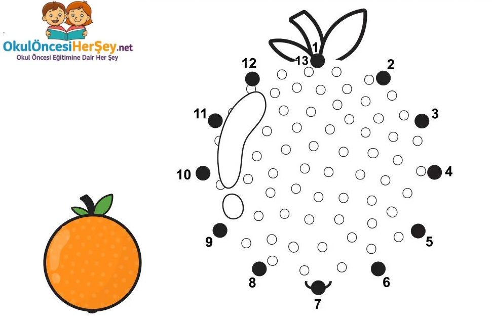 Çizgi Çalışmaları