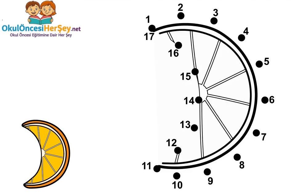Çizgi Çalışmaları