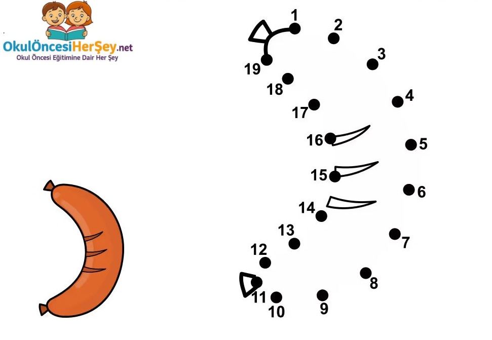 Çizgi Çalışmaları