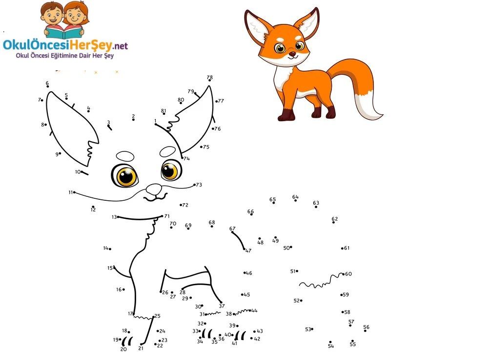 Çizgi Çalışmaları