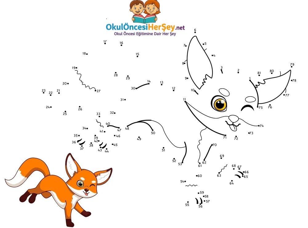 Çizgi Çalışmaları