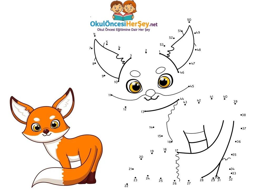 Çizgi Çalışmaları