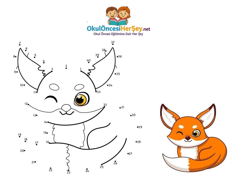 Çizgi Çalışmaları