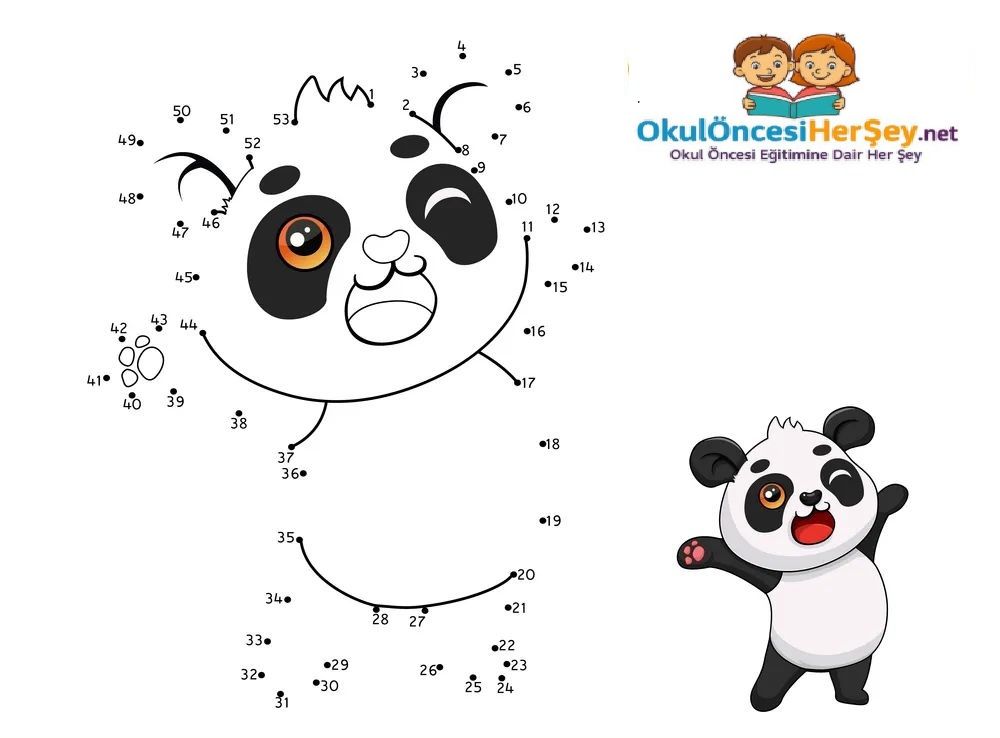 Çizgi Çalışmaları