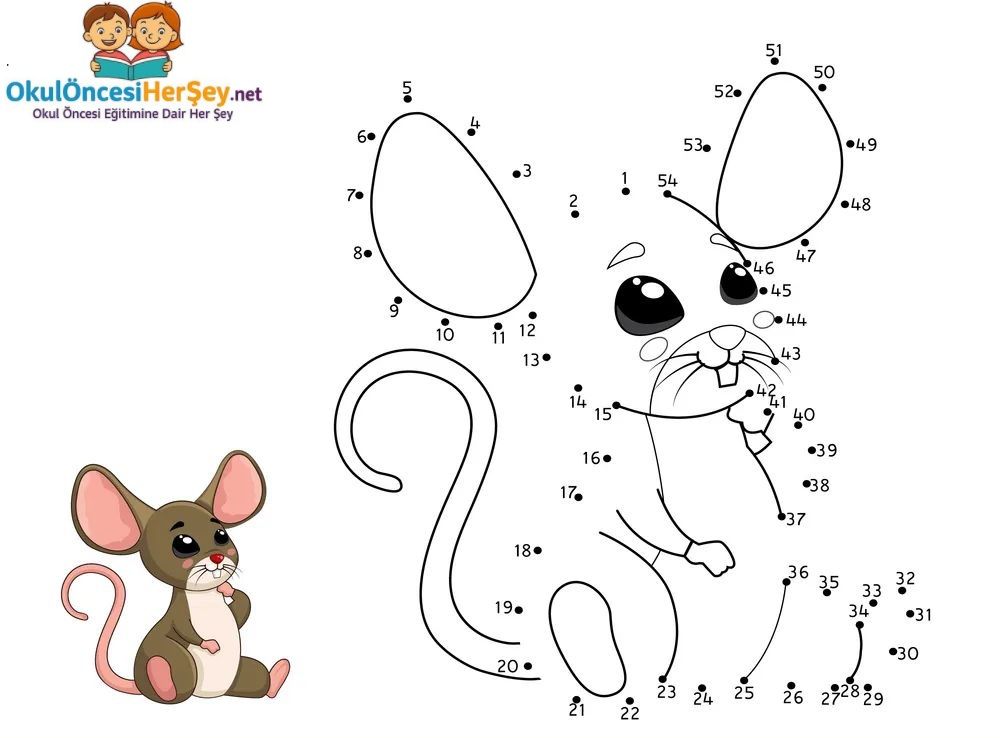 Çizgi Çalışmaları