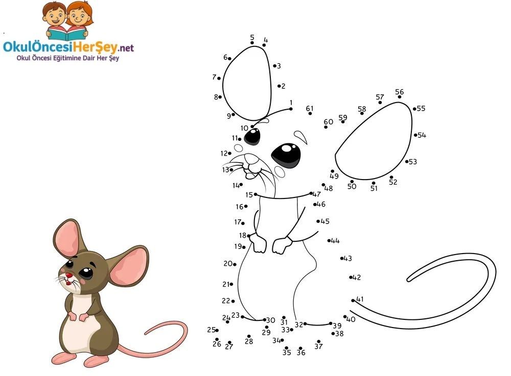 Çizgi Çalışmaları