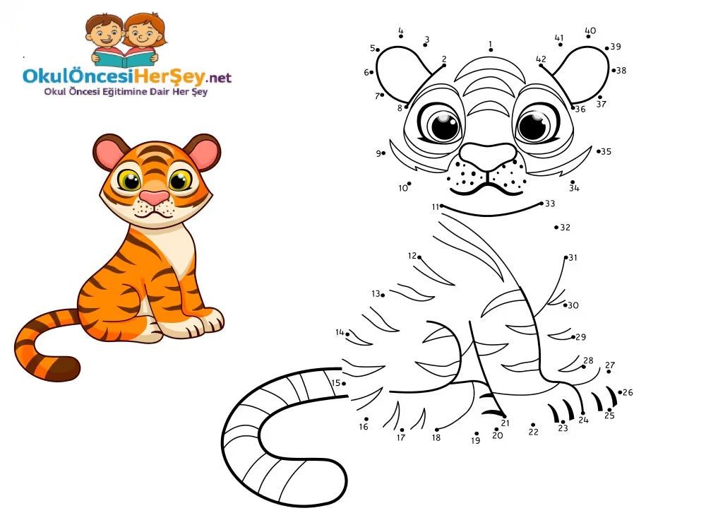 Çizgi Çalışmaları