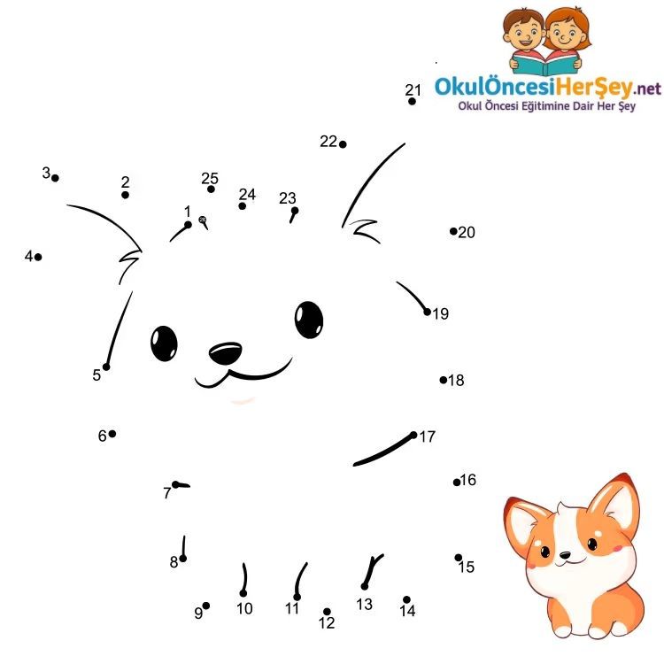 Çizgi Çalışmaları