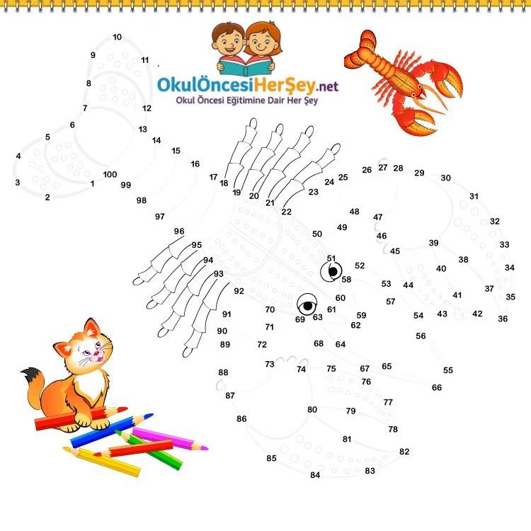 Çizgi Çalışmaları