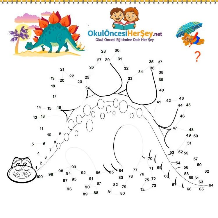 Çizgi Çalışmaları