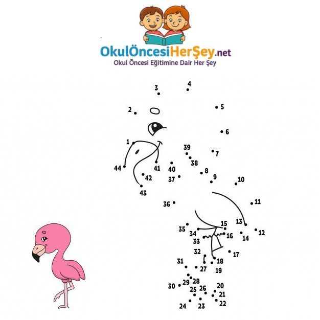 Çizgi Çalışmaları