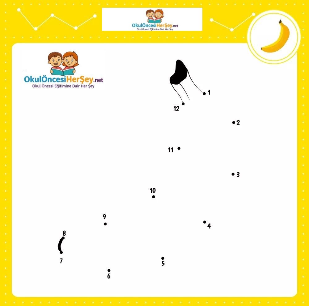 Çizgi Çalışmaları