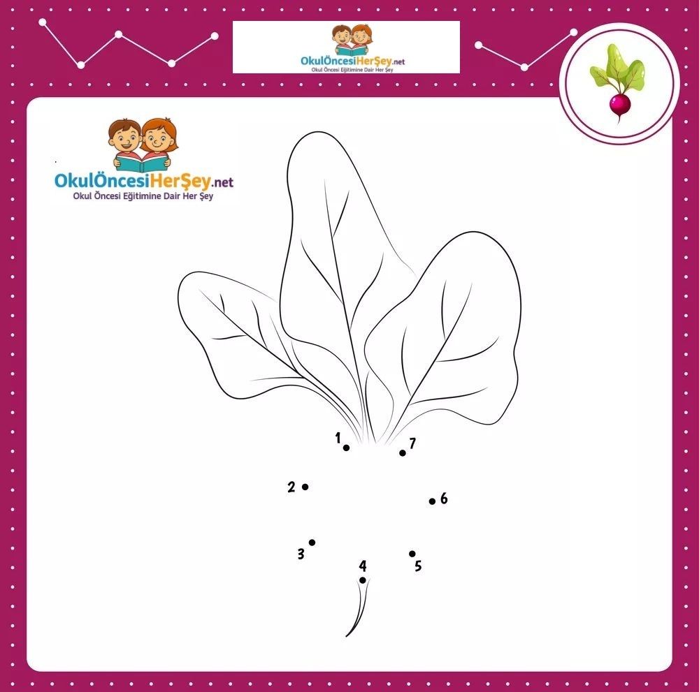 Çizgi Çalışmaları