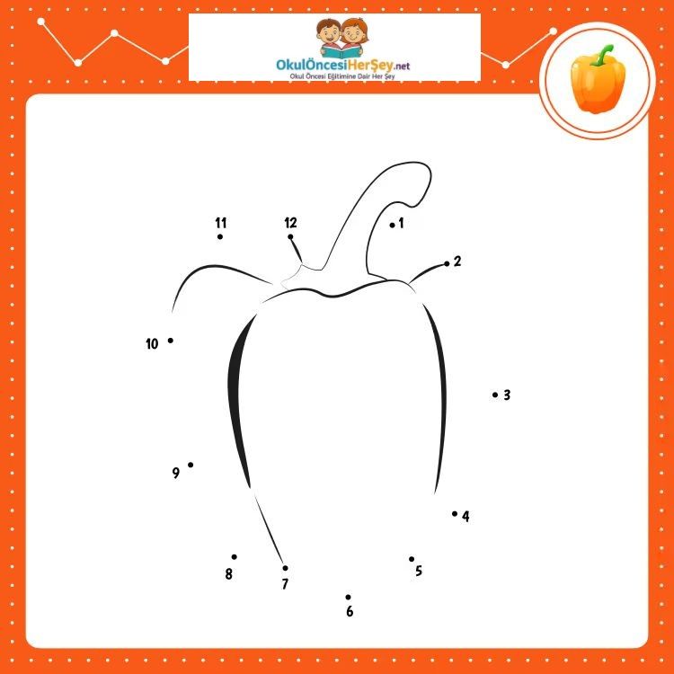 Çizgi Çalışmaları