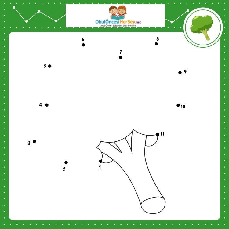 Çizgi Çalışmaları