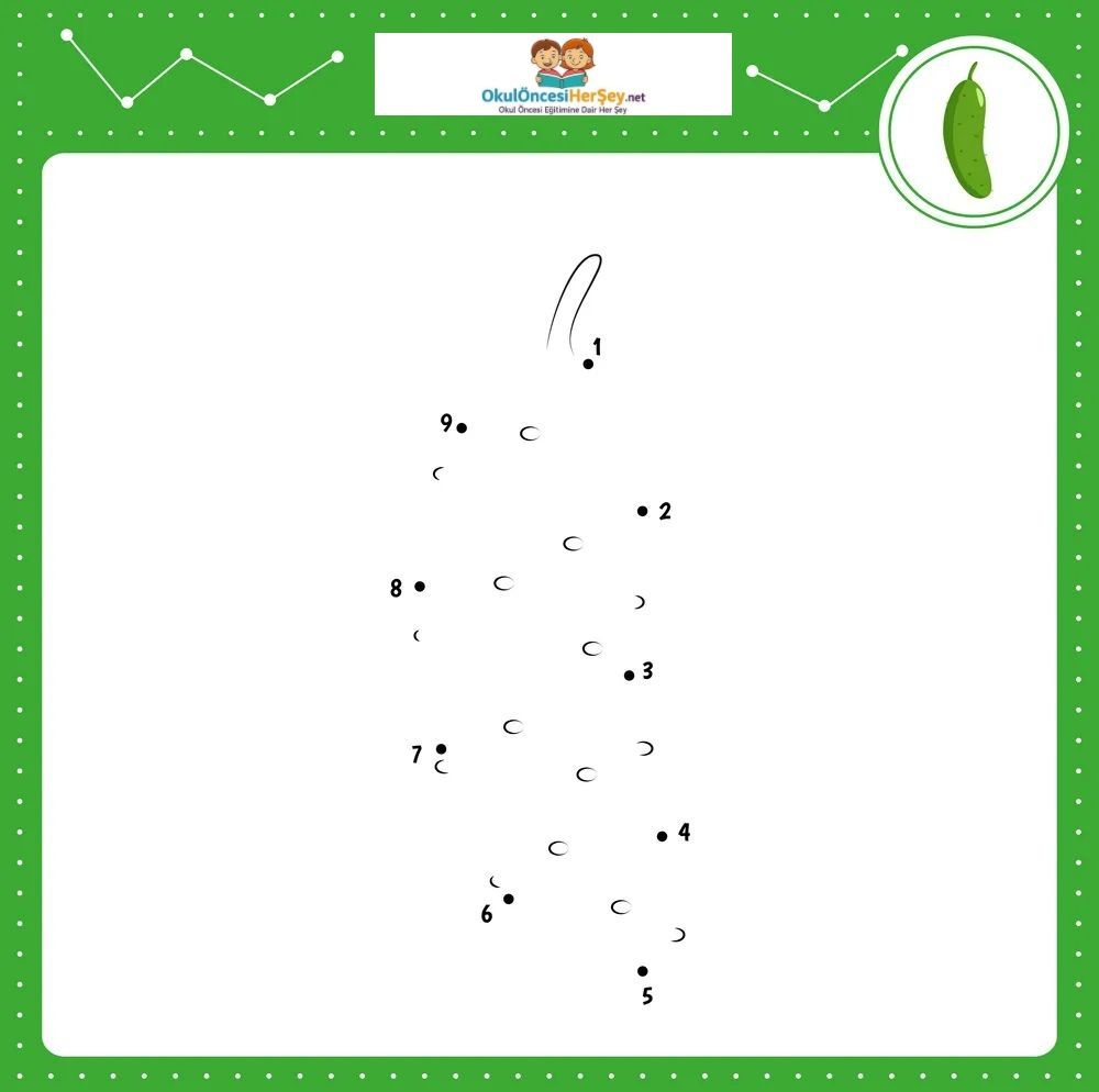 Çizgi Çalışmaları