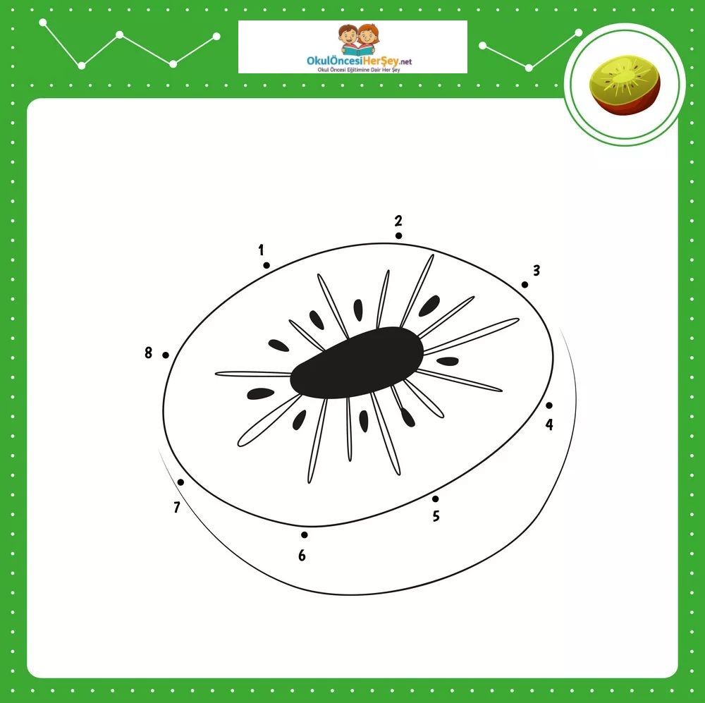 Çizgi Çalışmaları