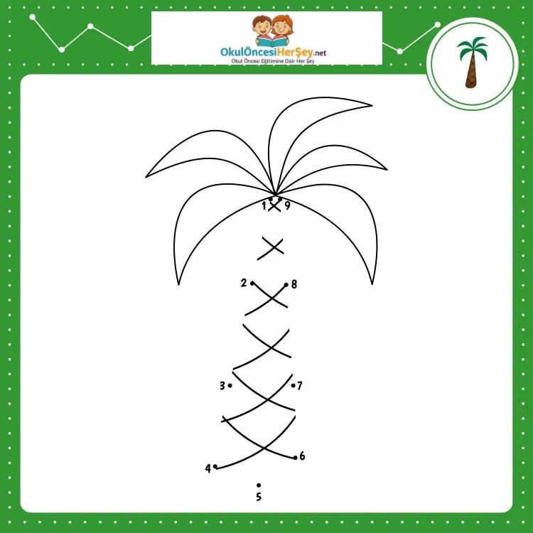 Çizgi Çalışmaları