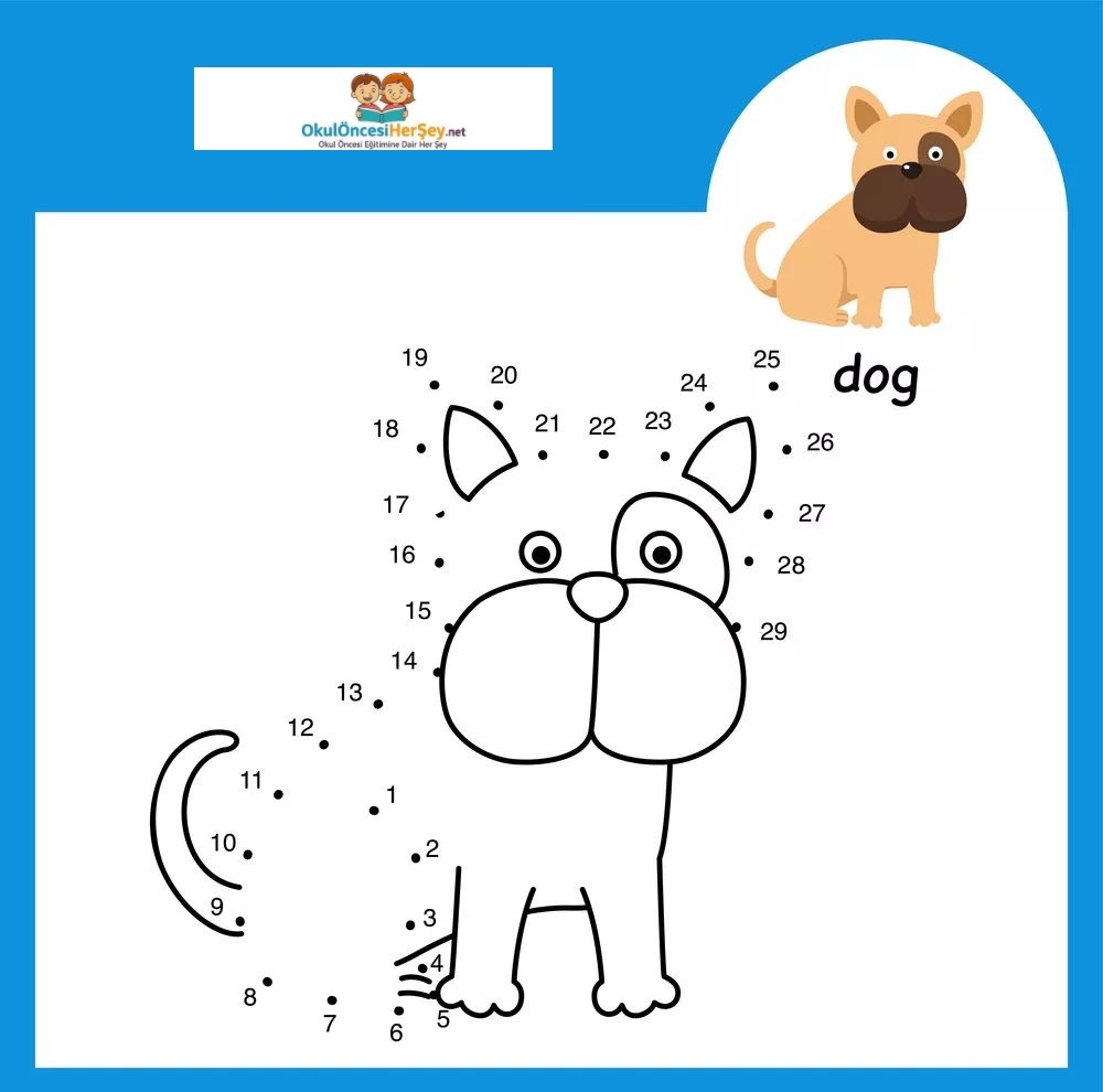 Çizgi Çalışmaları