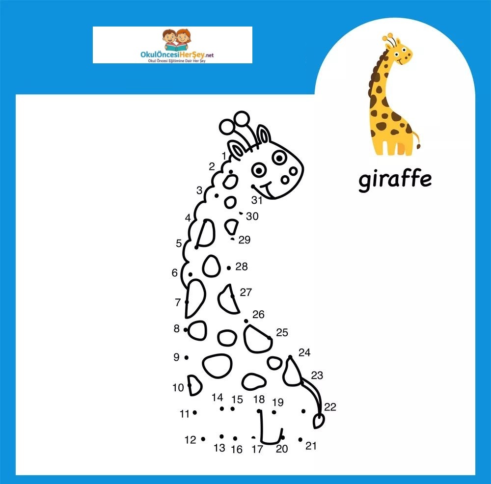 Çizgi Çalışmaları