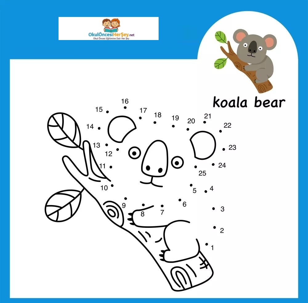 Çizgi Çalışmaları