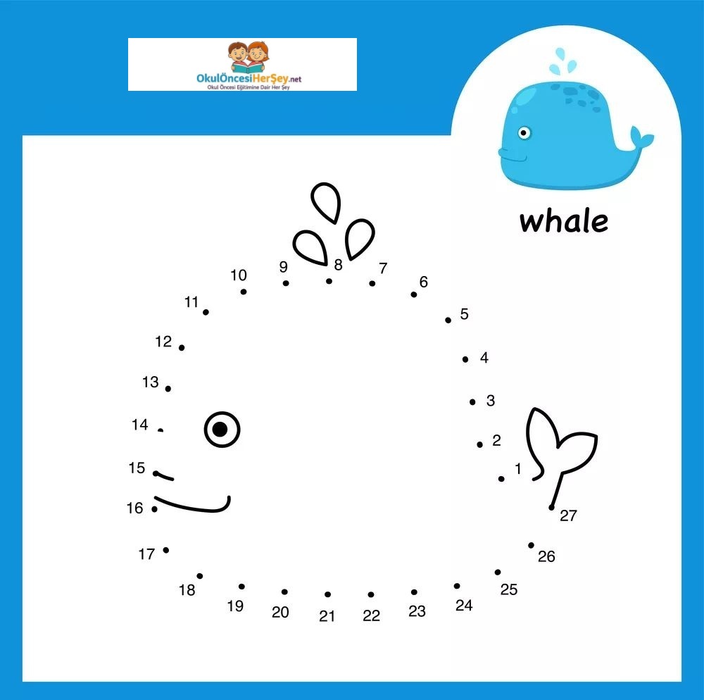 Çizgi Çalışmaları