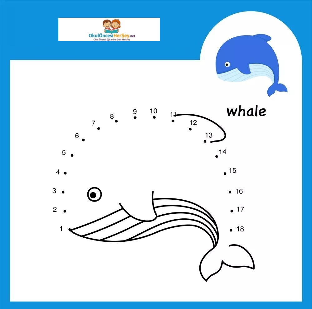 Çizgi Çalışmaları