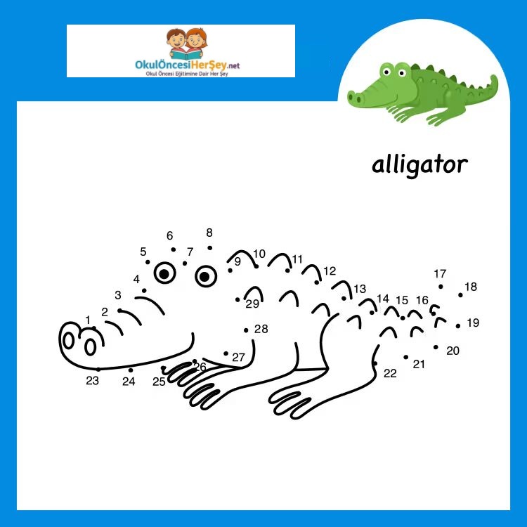 Çizgi Çalışmaları