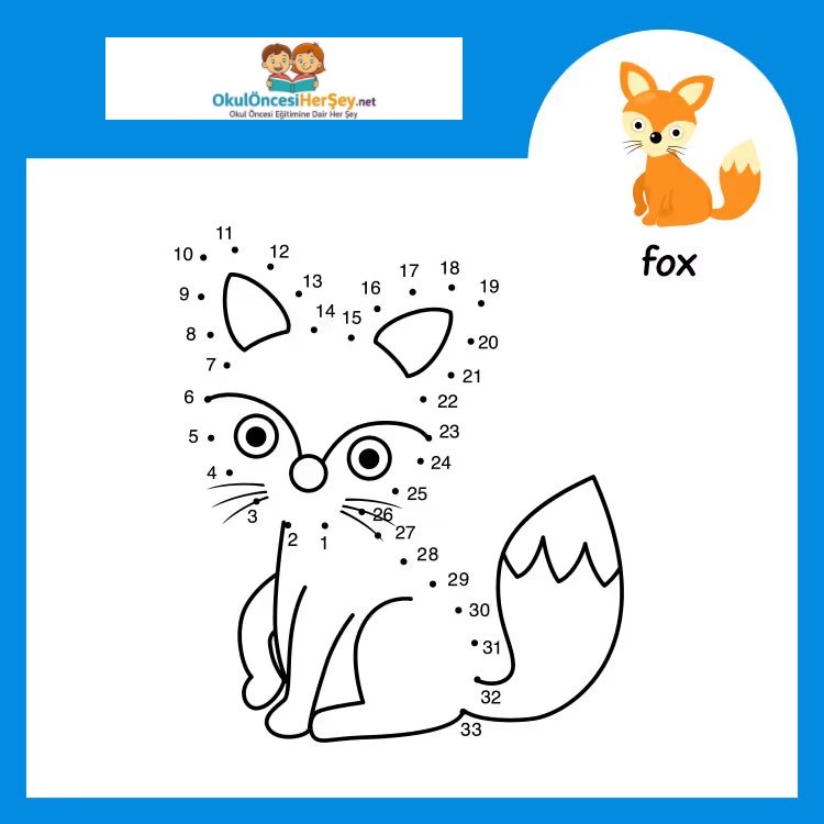 Çizgi Çalışmaları