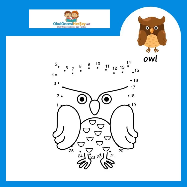 Çizgi Çalışmaları