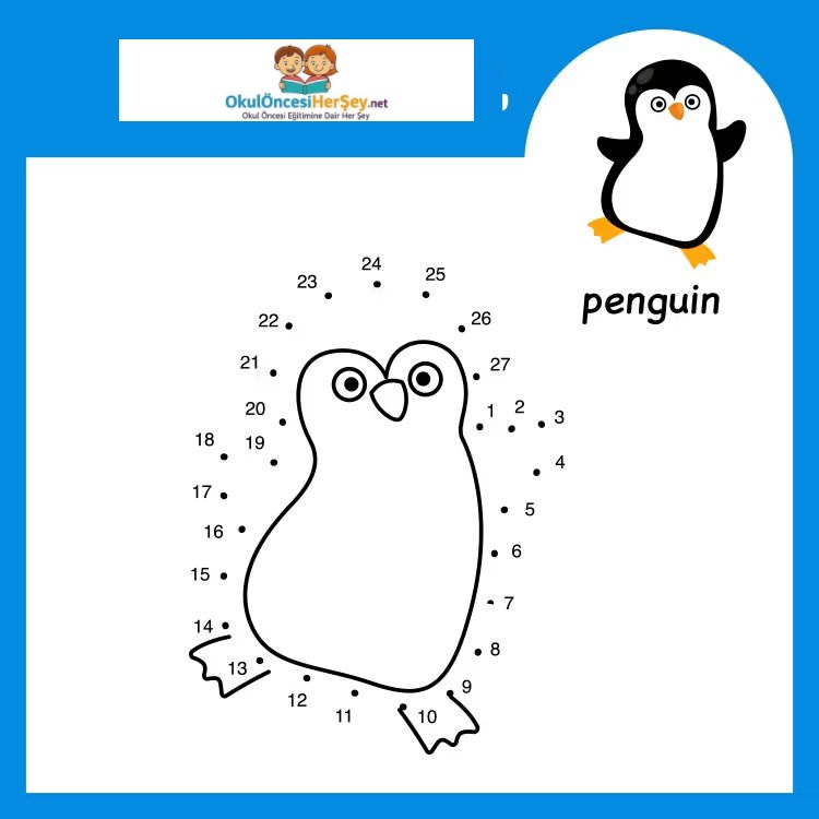 Çizgi Çalışmaları