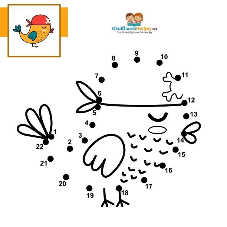 Çizgi Çalışmaları