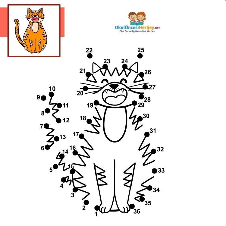 Çizgi Çalışmaları