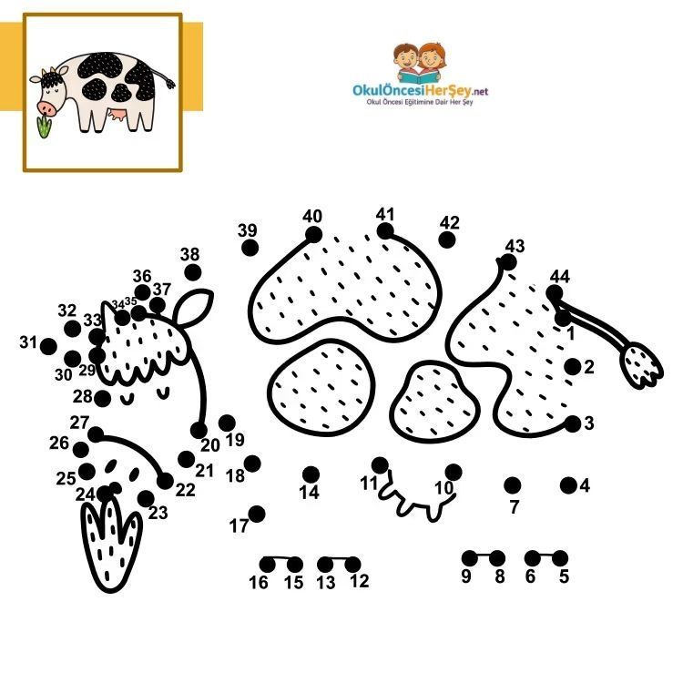 Çizgi Çalışmaları