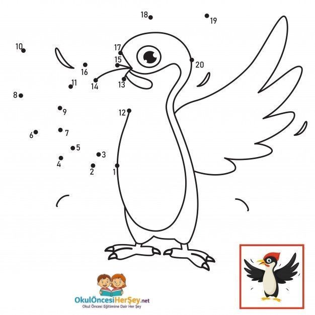 Çizgi Çalışmaları