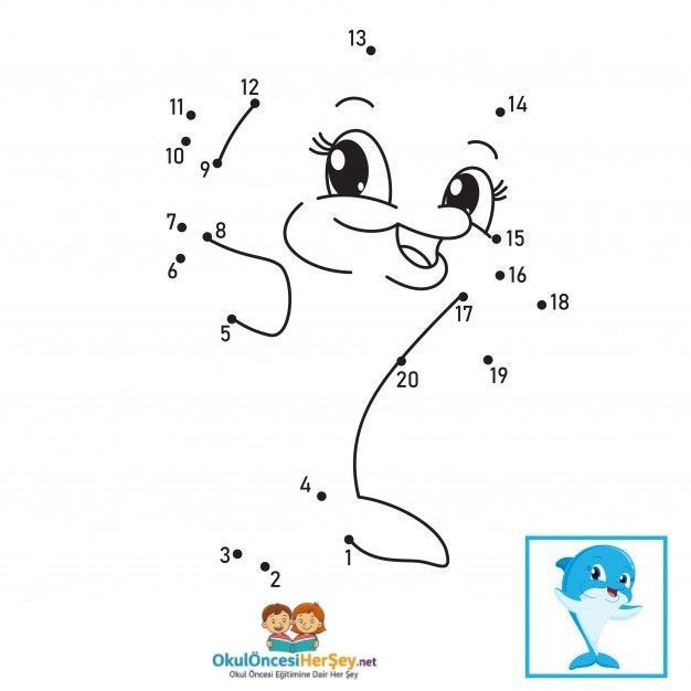 Çizgi Çalışmaları