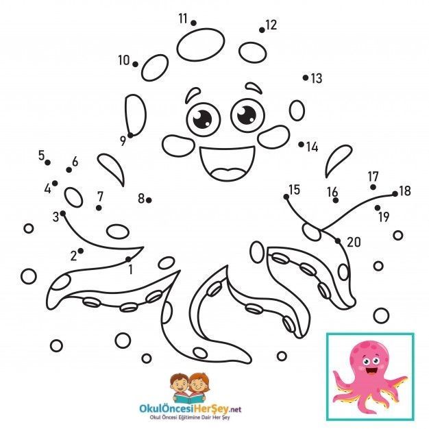 Çizgi Çalışmaları