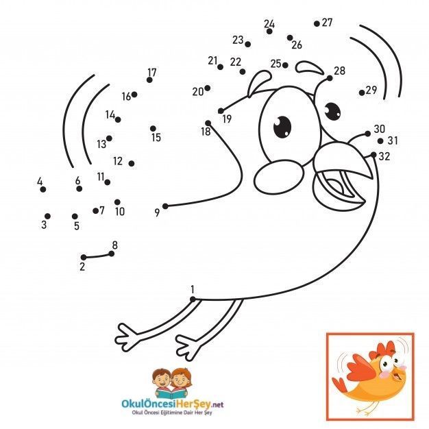 Çizgi Çalışmaları