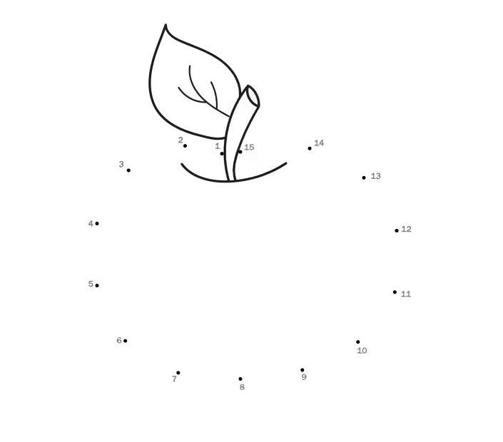 Çizgi Çalışmaları