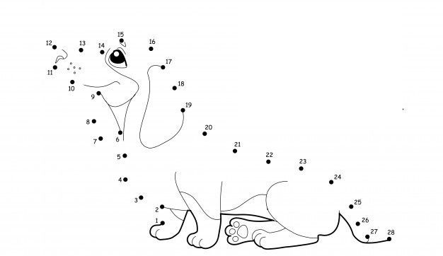 Çizgi Çalışmaları