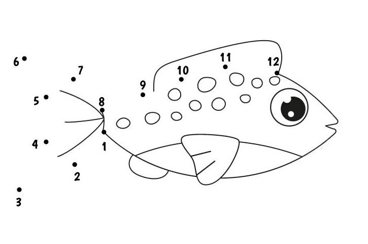 Çizgi Çalışmaları