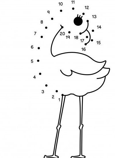 Çizgi Çalışmaları