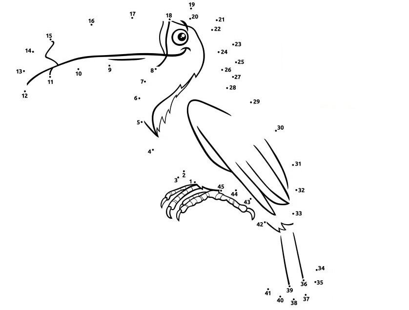 Çizgi Çalışmaları