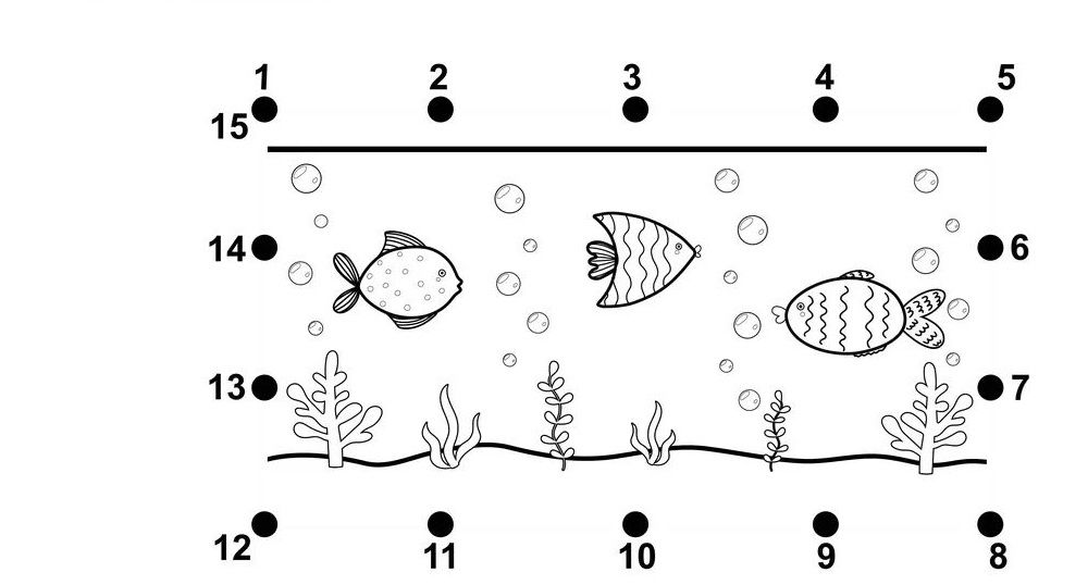 Çizgi Çalışmaları
