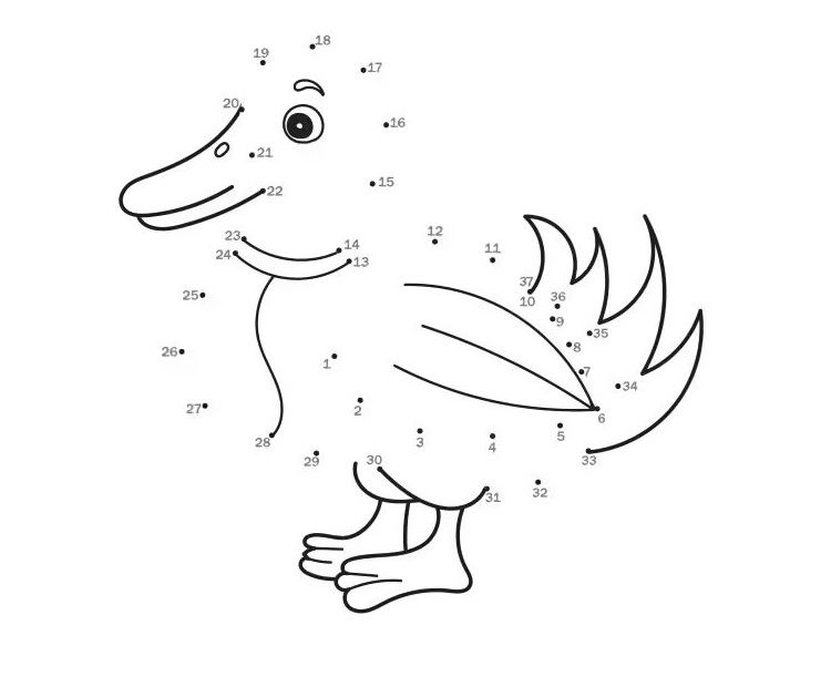 Çizgi Çalışmaları