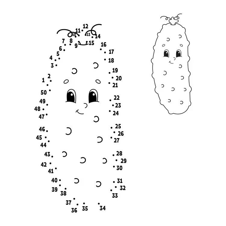 Çizgi Çalışmaları