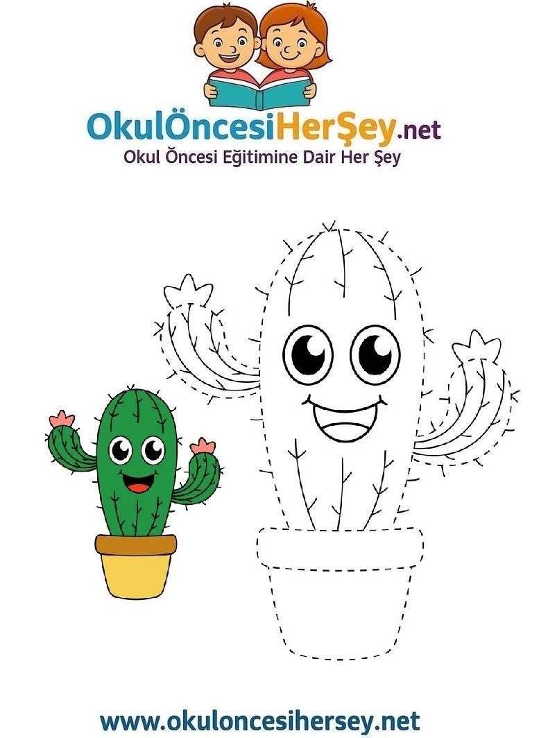 Çizgi Çalışmaları